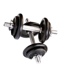 Organizm – decorative element