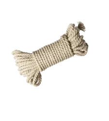 Organizm – decorative element