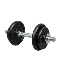 Organizm – decorative element