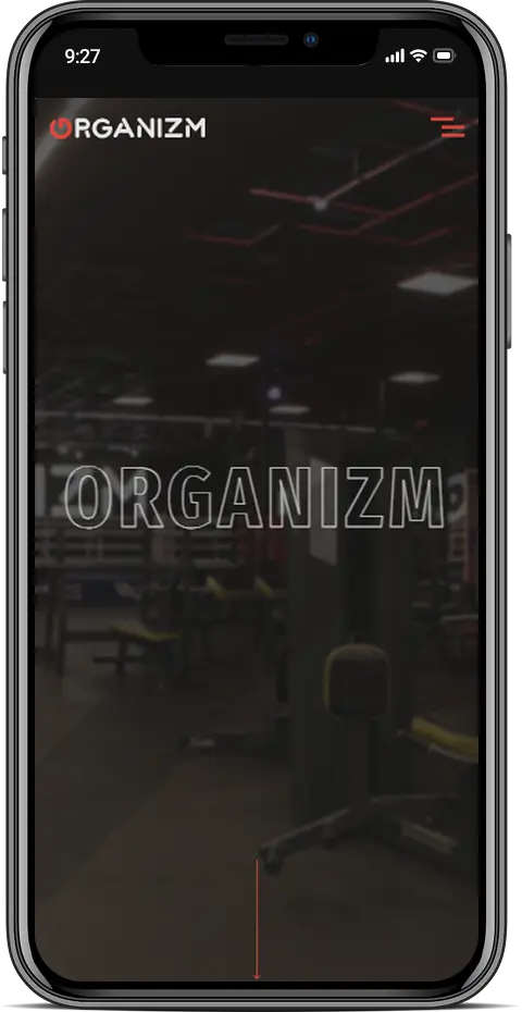 Мобільна версія – adaptive page