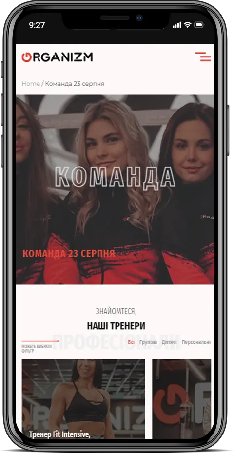 Мобільна версія – adaptive page