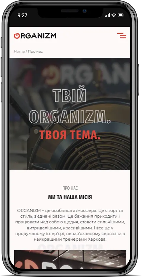 Мобільна версія – adaptive page