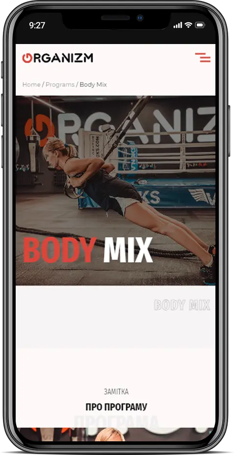 Мобільна версія – adaptive page