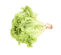 Good Time – decorative element