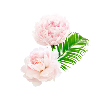 Best products group – decorative element