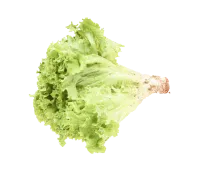 Good Time – decorative element