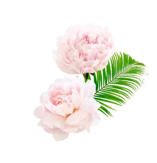 Bestproductsgroup – decorative element