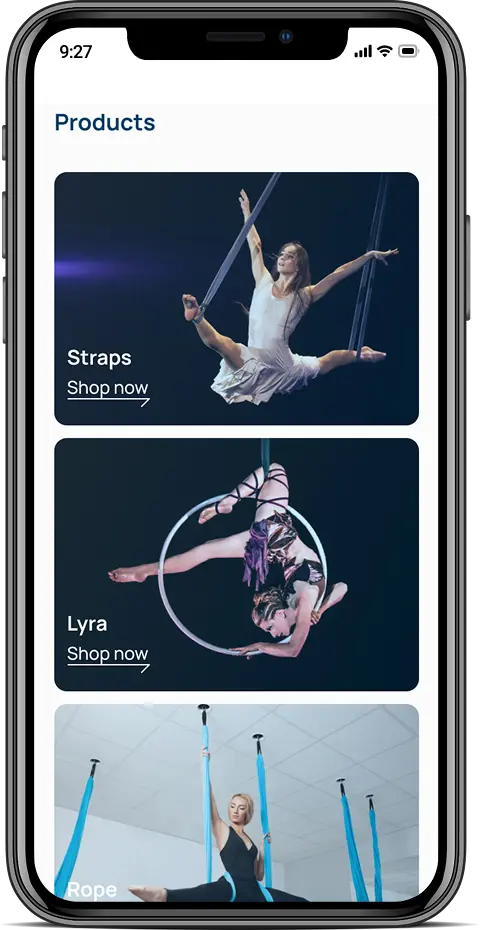 Мобільна версія – adaptive page